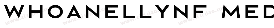 WhoaNellyNF Medium字体转换